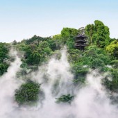 Biển mây thơ mộng giữa lòng Tokyo